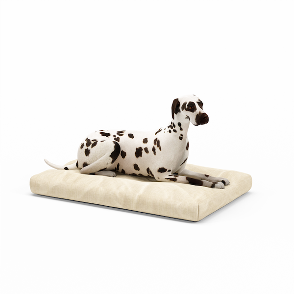 Organic latex dog bed sales