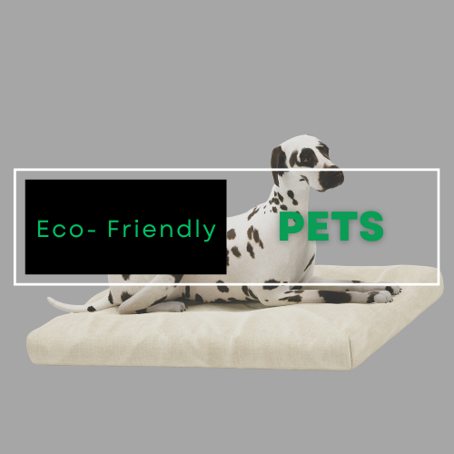 Eco-Pets Collection | STYLNN®️