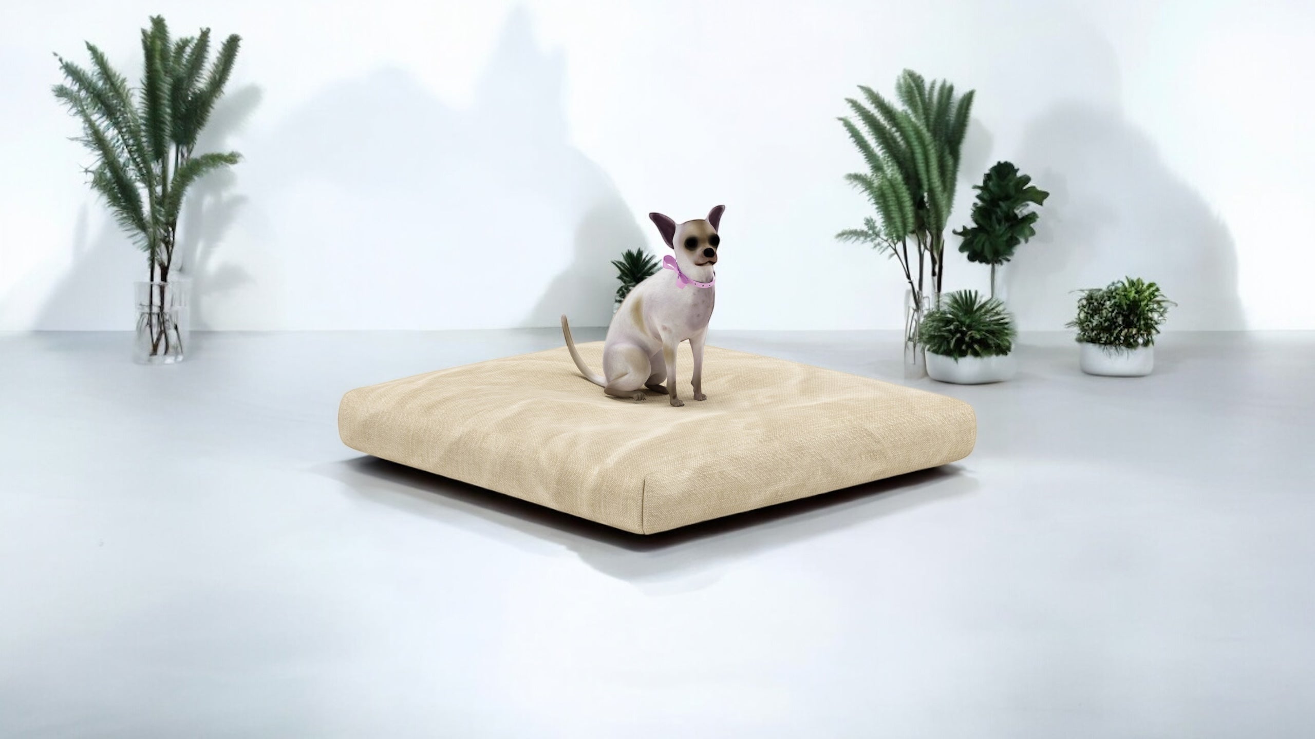 Eco-Pet Latex Lounger | Dog Bed| Organic Latex | Eco-Friendly | STYLNN®️ - STYLNN®