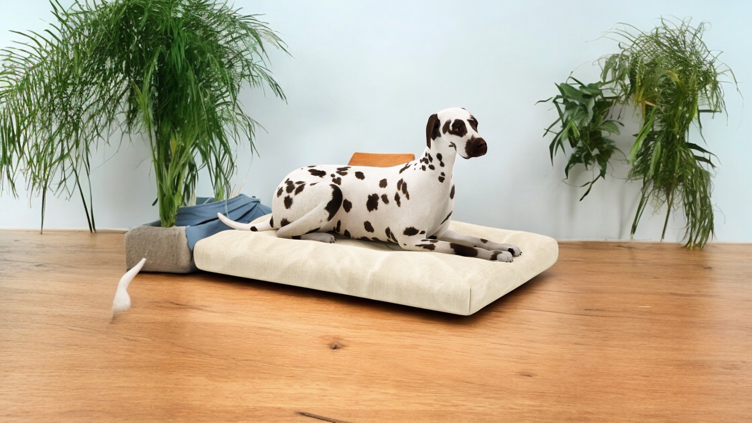 Eco-Pet Latex Lounger | Dog Bed| Organic Latex | Eco-Friendly | STYLNN®️ - STYLNN®