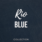 Premium Leather Swatches