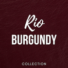 Premium Leather Swatches