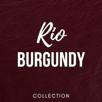 Premium Leather Swatches