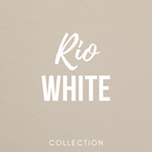 Premium Leather Swatches