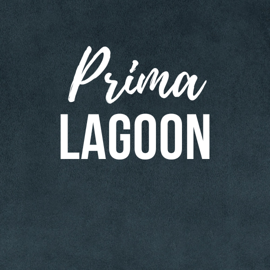 Trillium Accent Pillows 20" x 20" - STYLNN®