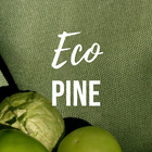 Eco-Friendly Accent Pillows 18