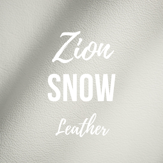 Accent Pillows | 20